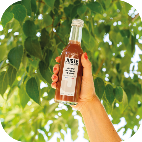 Bouteille en verre de nectar de pêche de vigne de couleur bordeaux 25 cl de face main arbre -  Juste le Choix du Fruit