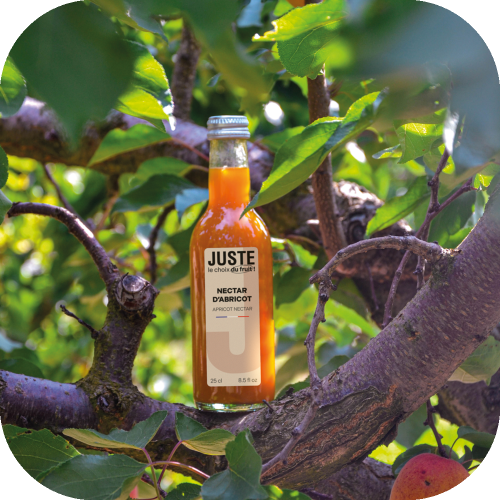 Bouteille en verre de nectar d'abricot de couleur orange 25 cl de face dans les abricotiers -  Juste le Choix du Fruit