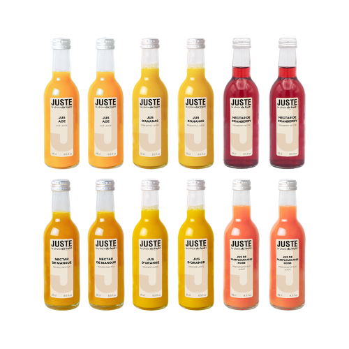 Bouteilles 25 cl assortiment de jus ACE, ananas, cranberry, orange, pamplemousse rose, nectar de mangue et cranberry