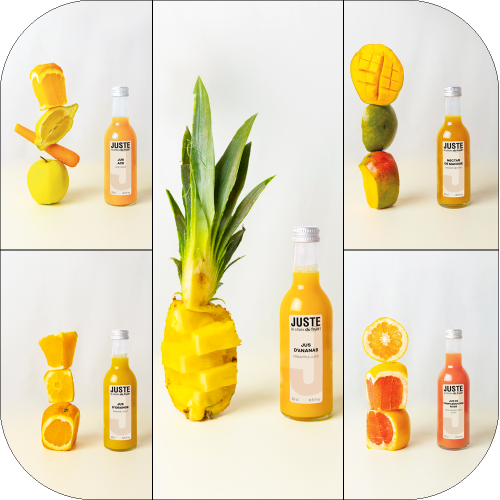 Bouteilles 25 cl assortiment de jus ACE, ananas, cranberry, orange, pamplemousse rose, nectar de mangue et cranberry