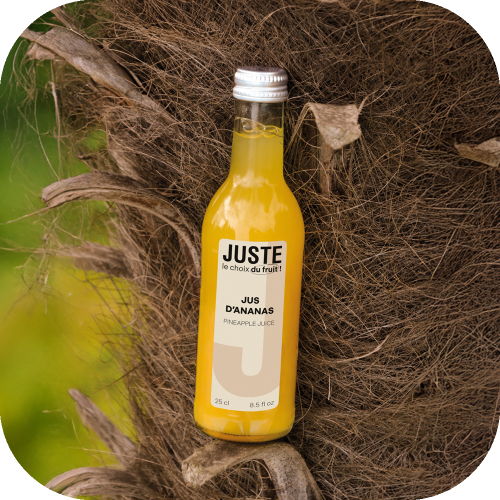 Bouteille en verre de jus d'ananas de couleur jaune orange 25 cl de face sur palmier -  Juste le Choix du Fruit